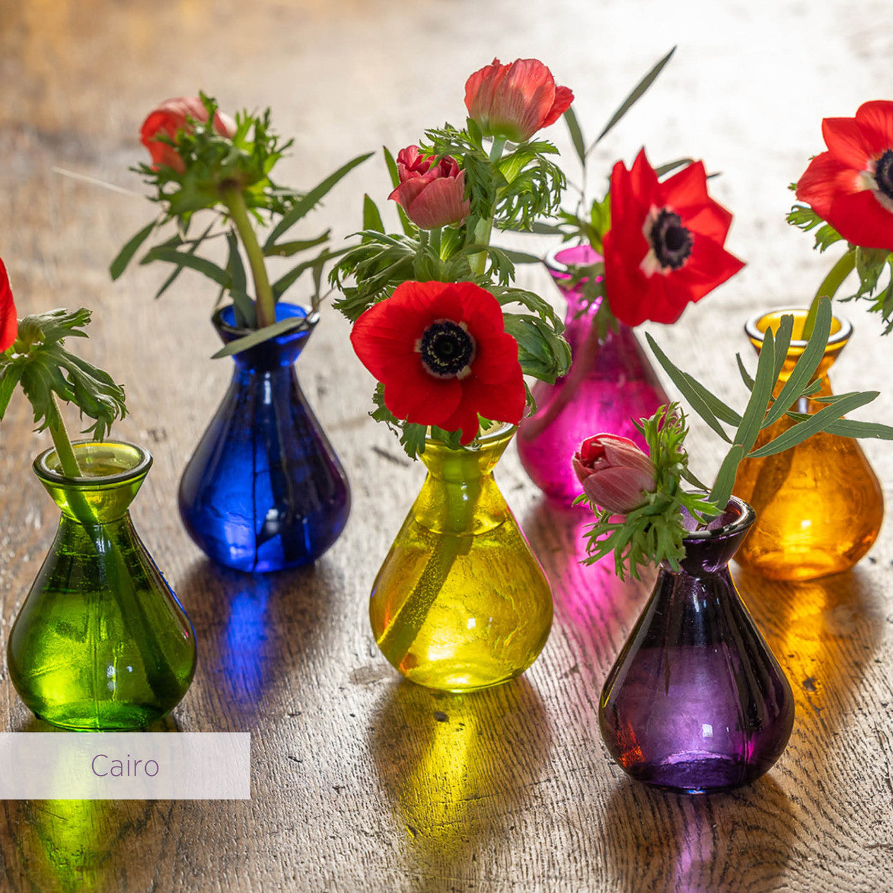 Jewel Vase Collections