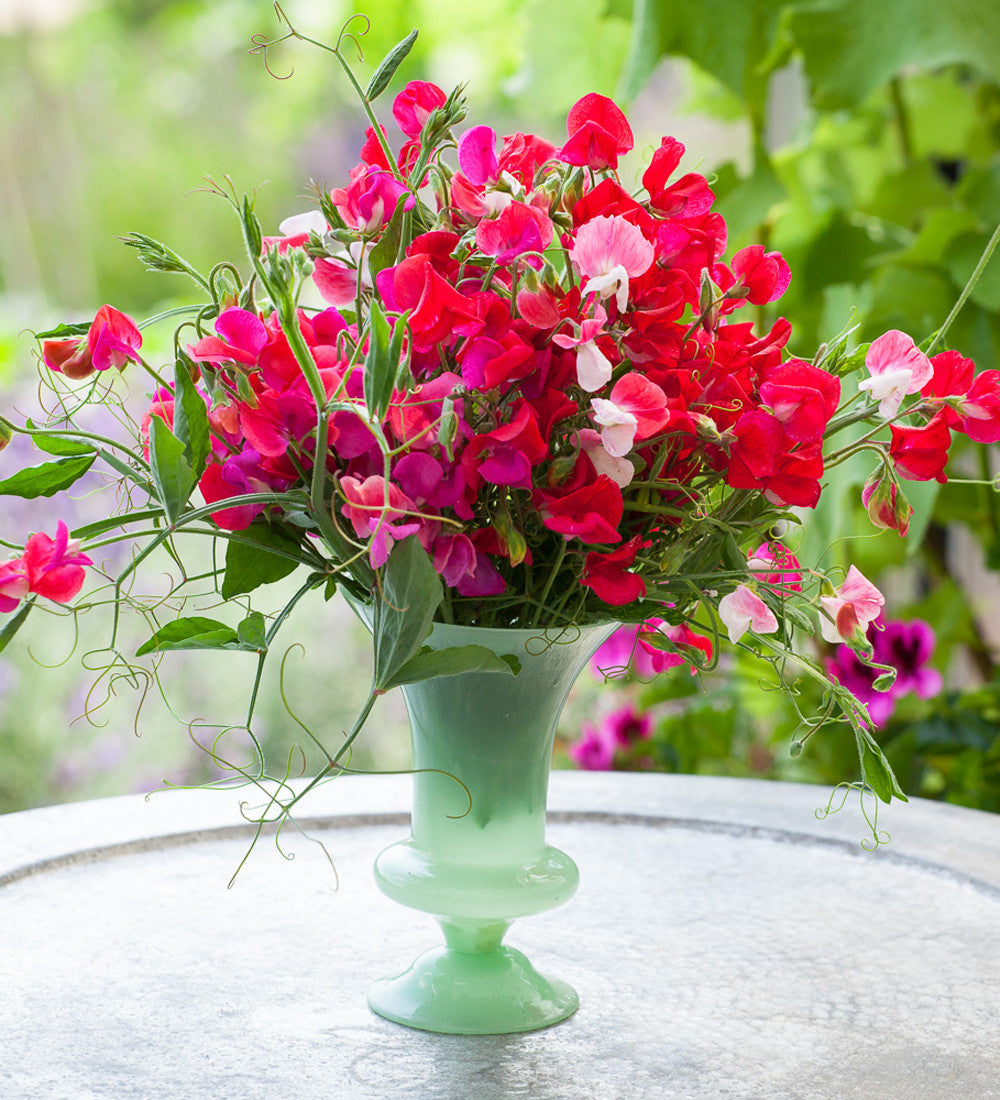 Favourite Jade Vase
