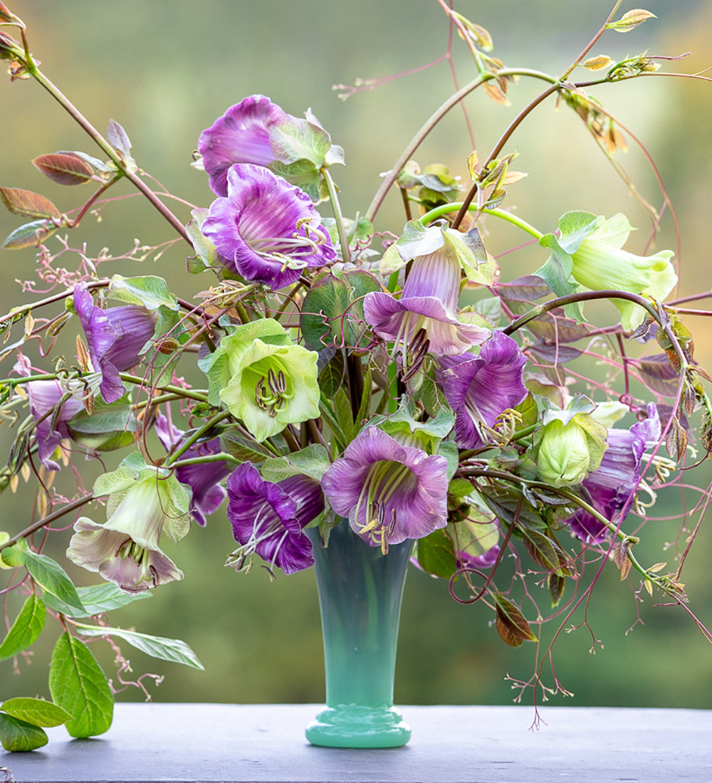 Flute Vase