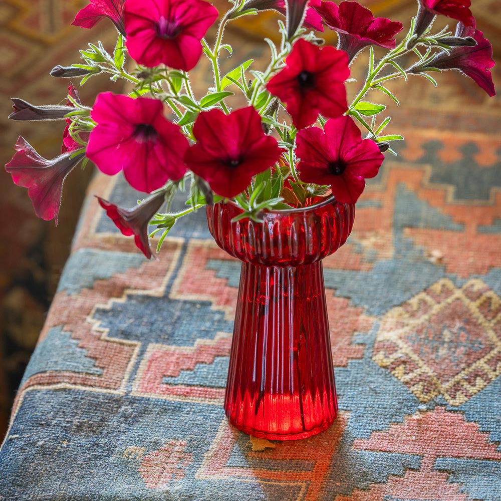 Hyacinth Forcers