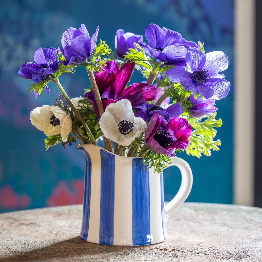 Stripe Jugs
