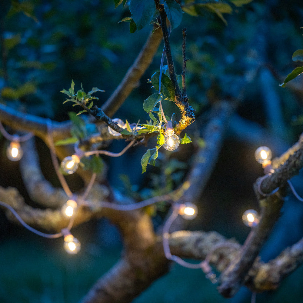 Pink Wired Festoon Lights