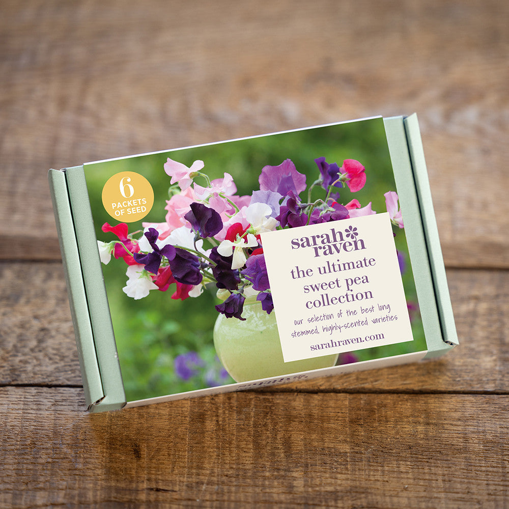 Ultimate Sweet Pea Seed Gift Box Collection