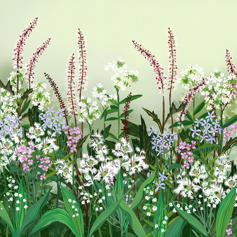 The Scented Border Collection