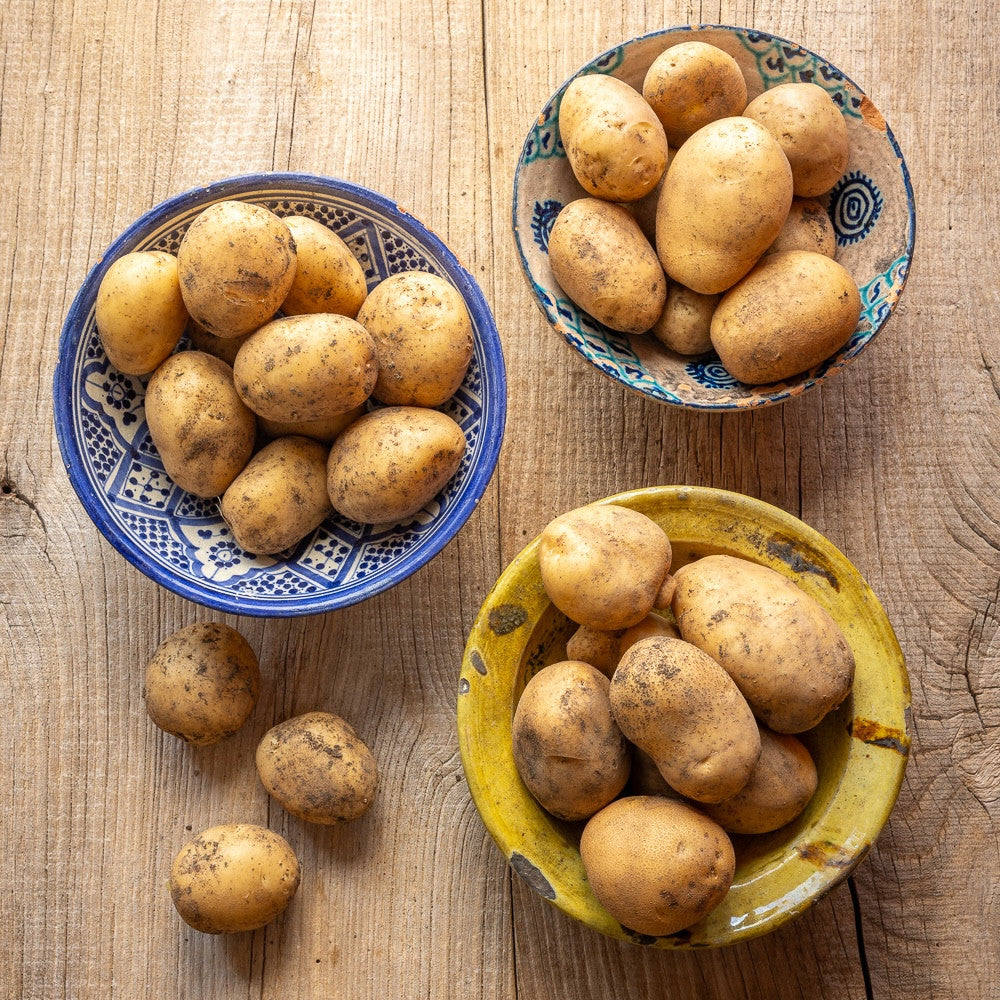 Sarah's Best for Baked Roast and Mash Potato Collection