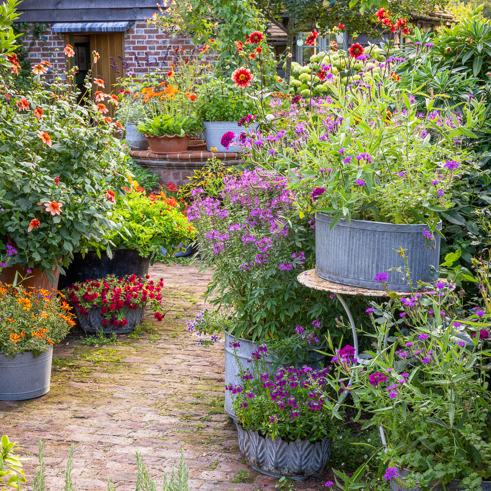 August and September Open Days