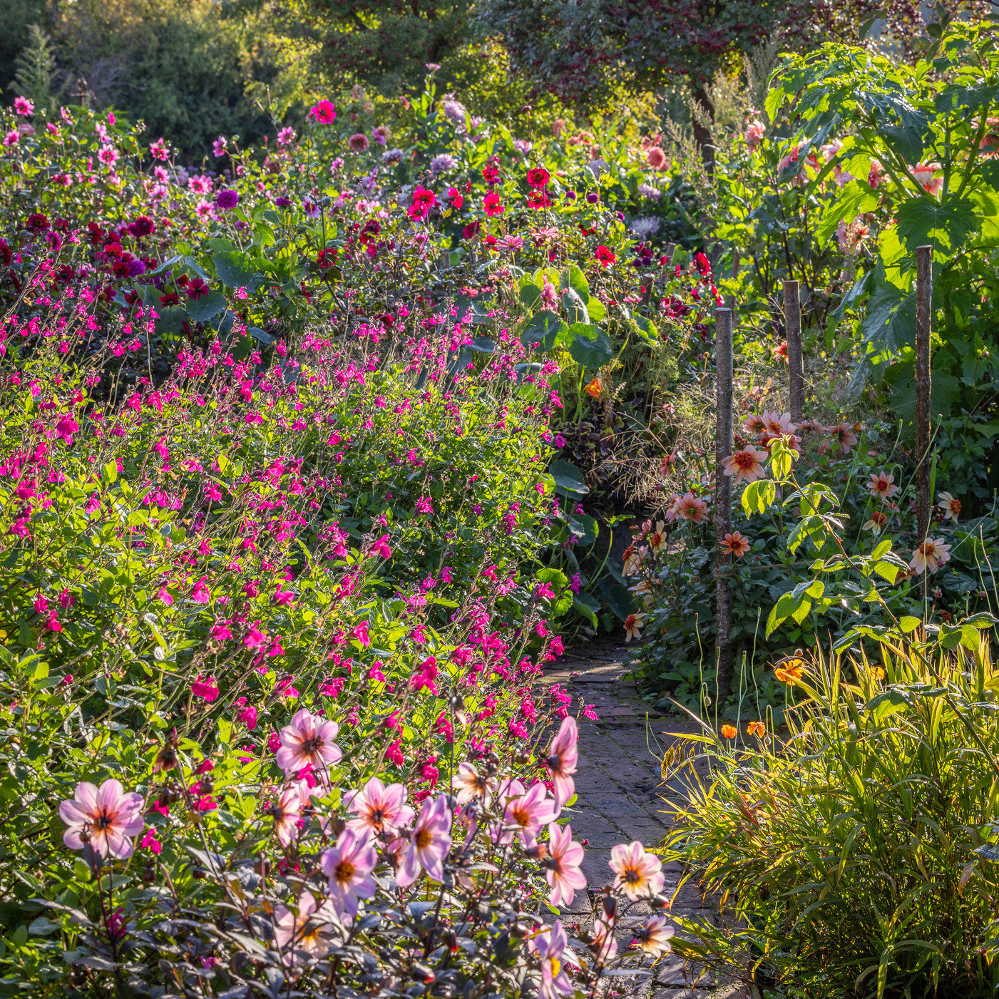August and September Open Days