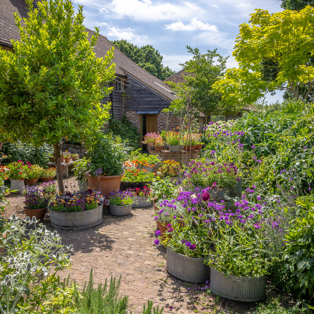 Spectacular Pots and Containers with Sarah Raven at Rutland Nursery, Oakham