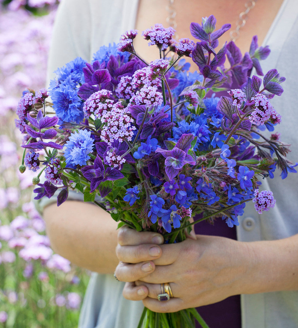 Amethyst and Sapphire Cut Flower Mix