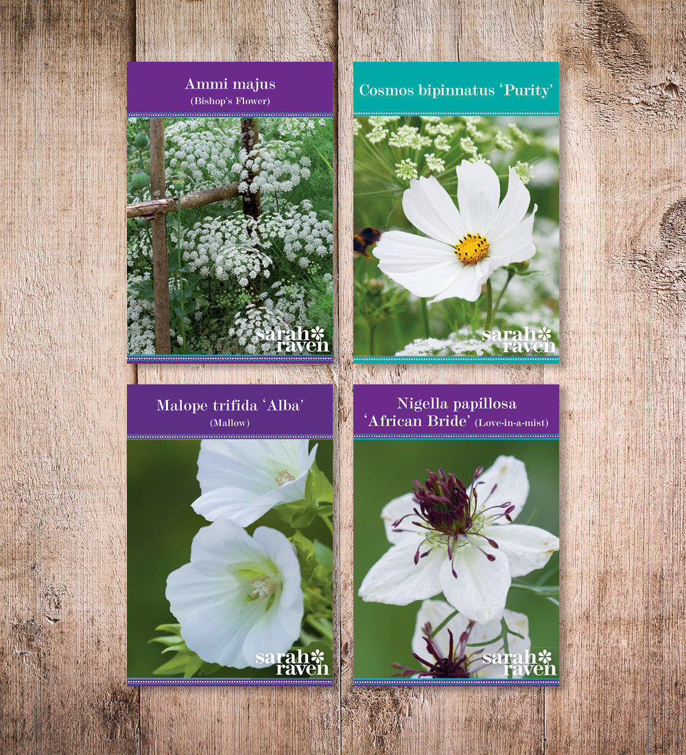 Flowers for a White Garden Seed Gift Box Collection