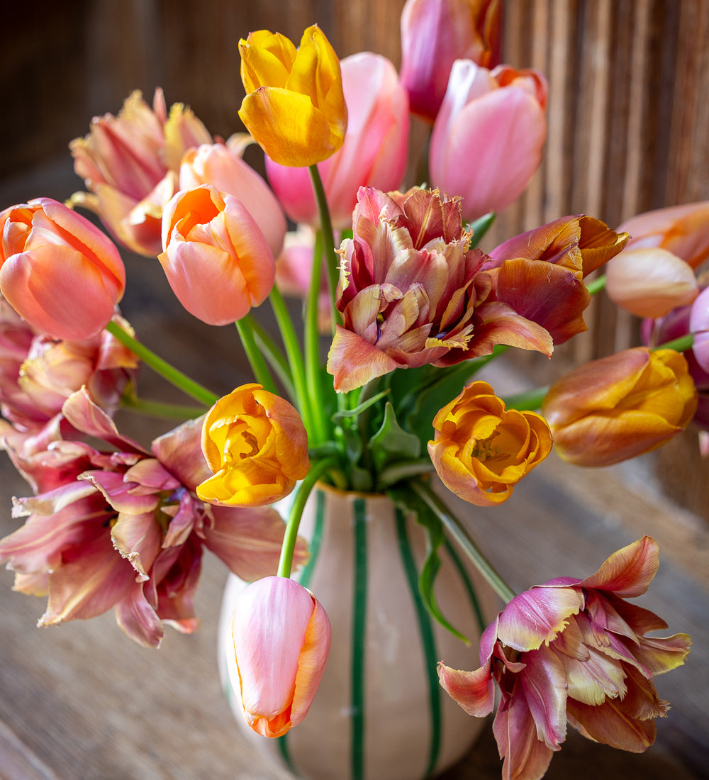 Sissinghurst Tulip Collection