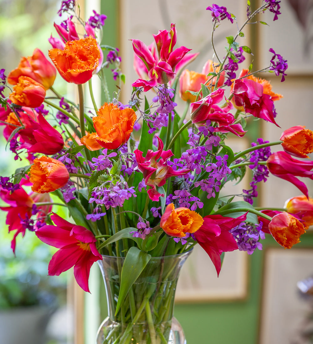 Fresh Fruit Tulip Collection
