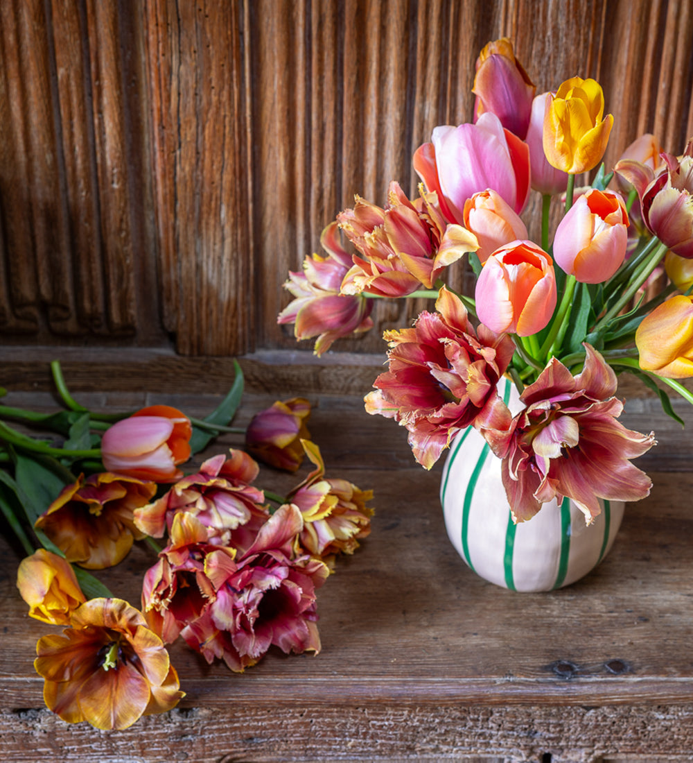 Sissinghurst Tulip Collection