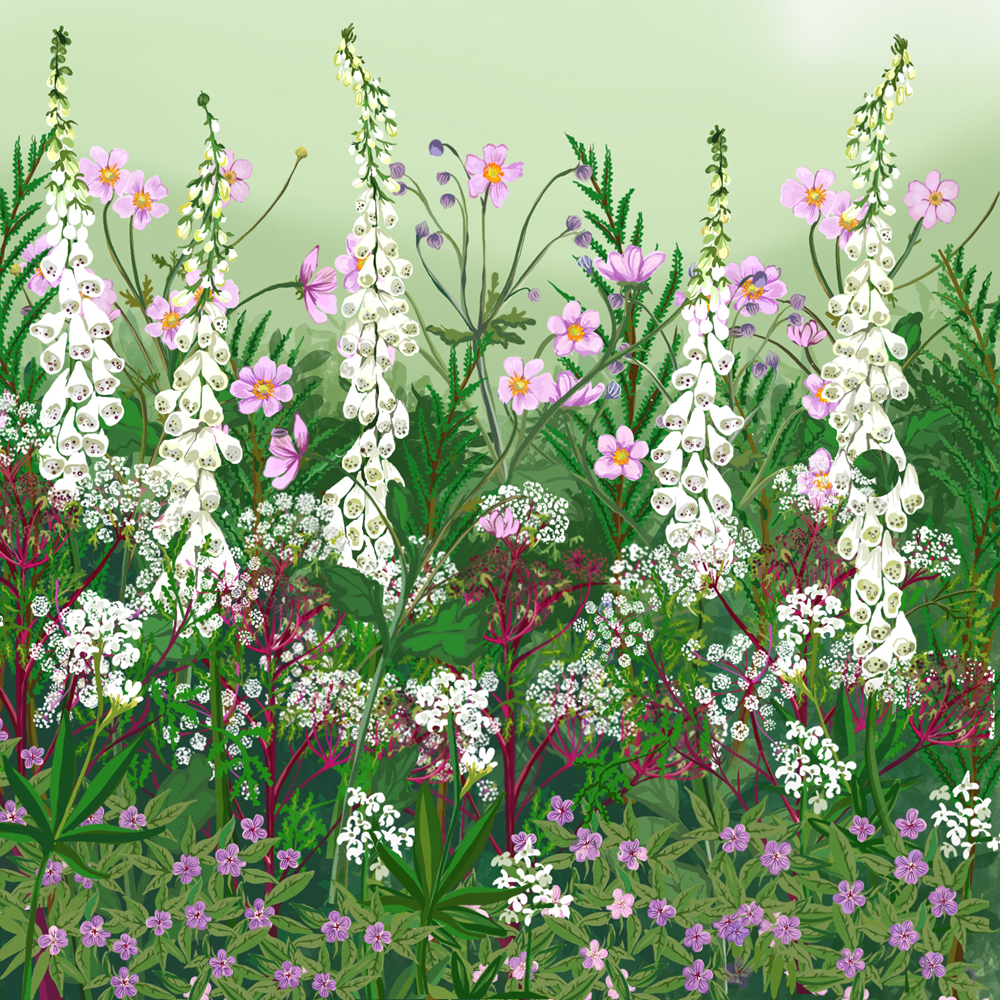 The Shady Border Collection