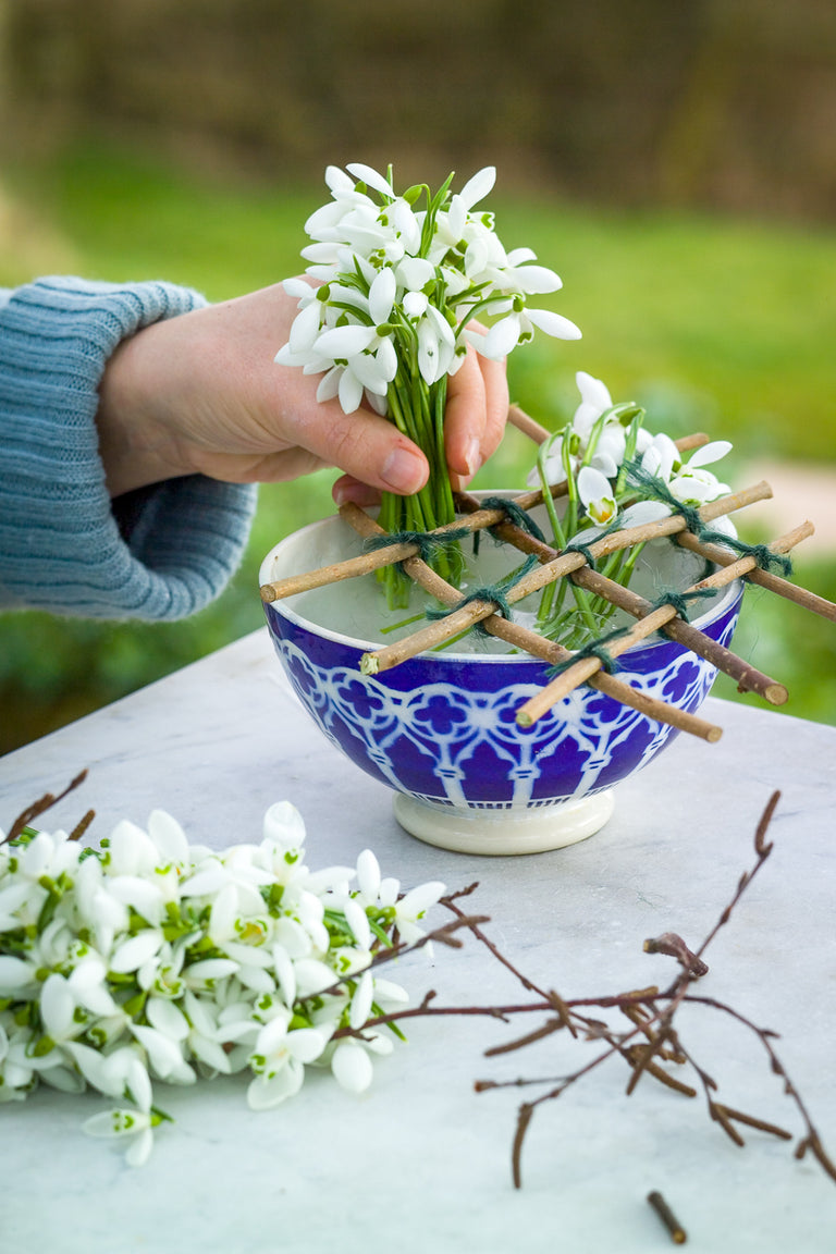 How to plant, grow & care for snowdrops | Sarah Raven