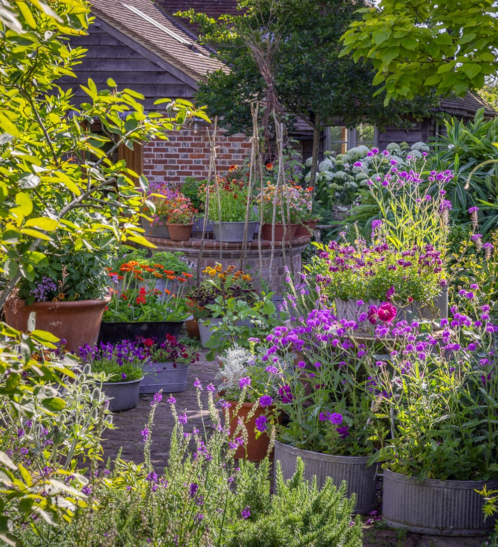 A Year Full of Pots with Sarah Raven at Perch Hill