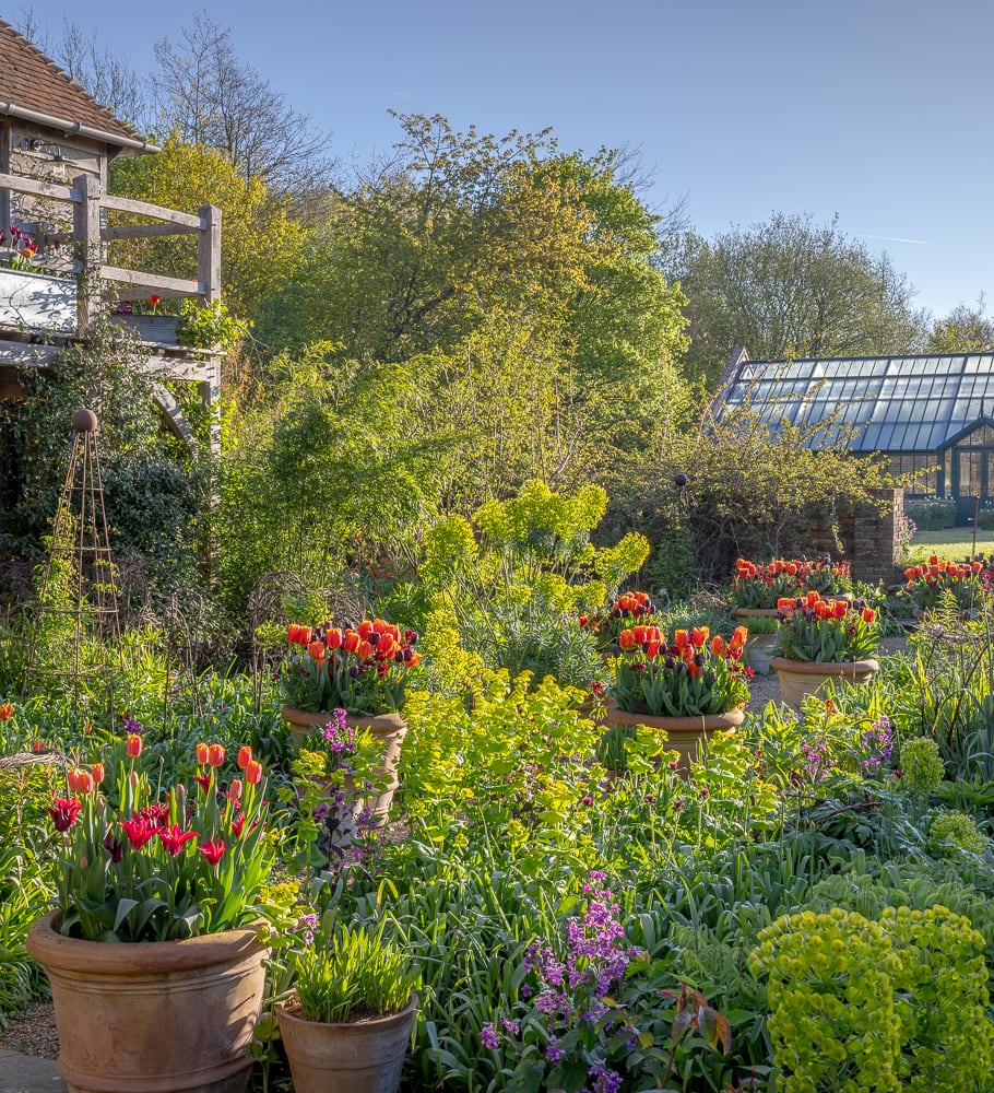 The Kaleidoscope Garden – Planting for Colour and Flowers Through Every Season with Sarah Raven at Rutland Nursery, Oakham