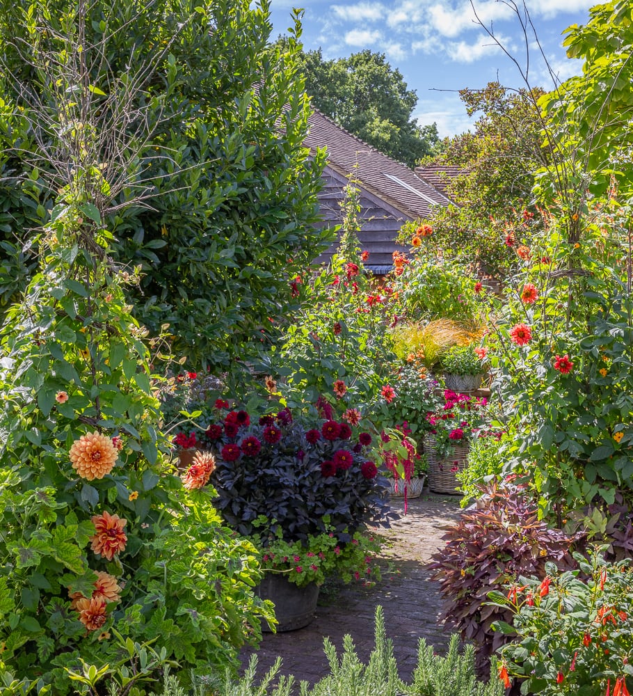 The Kaleidoscope Garden – Planting for Colour and Flowers Through Every Season with Sarah Raven at Perch Hill