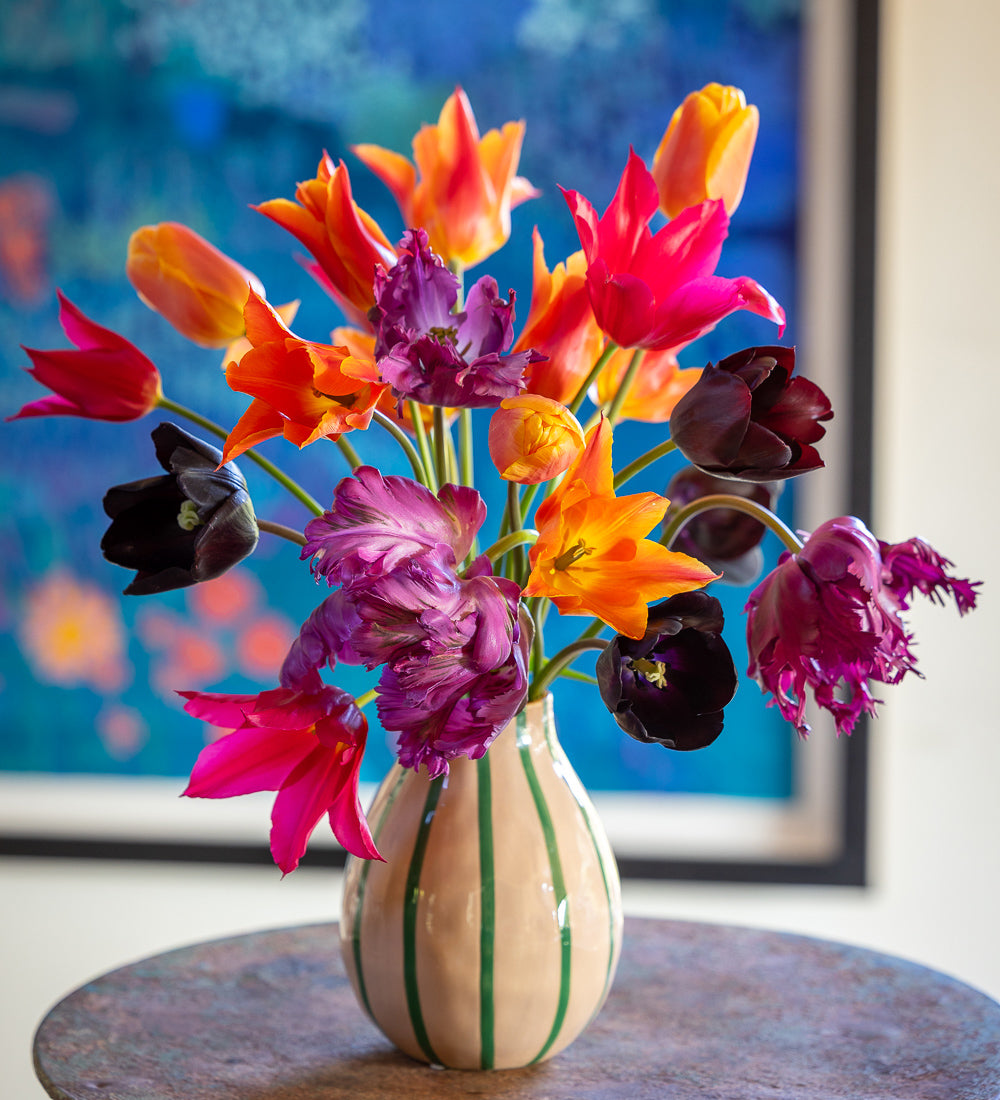 Arit Anderson's Tulip Collection