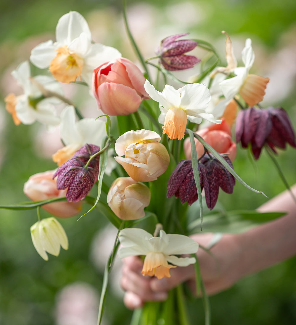 Perfect hand-tied Posy Bulb Collection