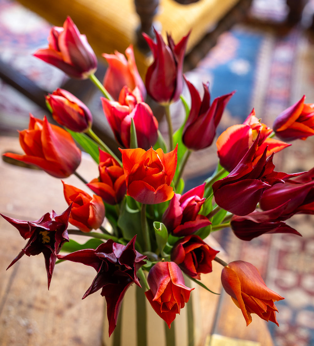 Sultans' Palace Tulip Collection