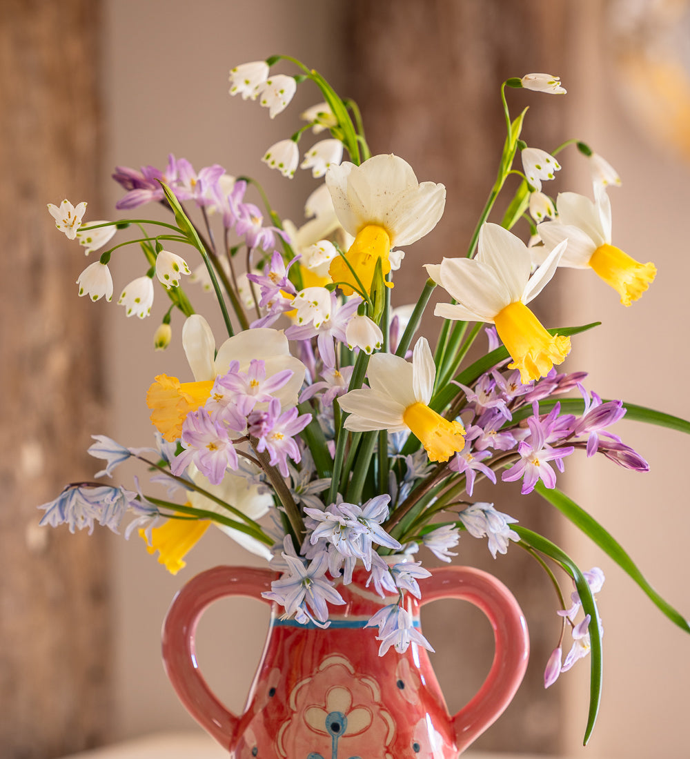 Spring Sherbert Bulb Collection