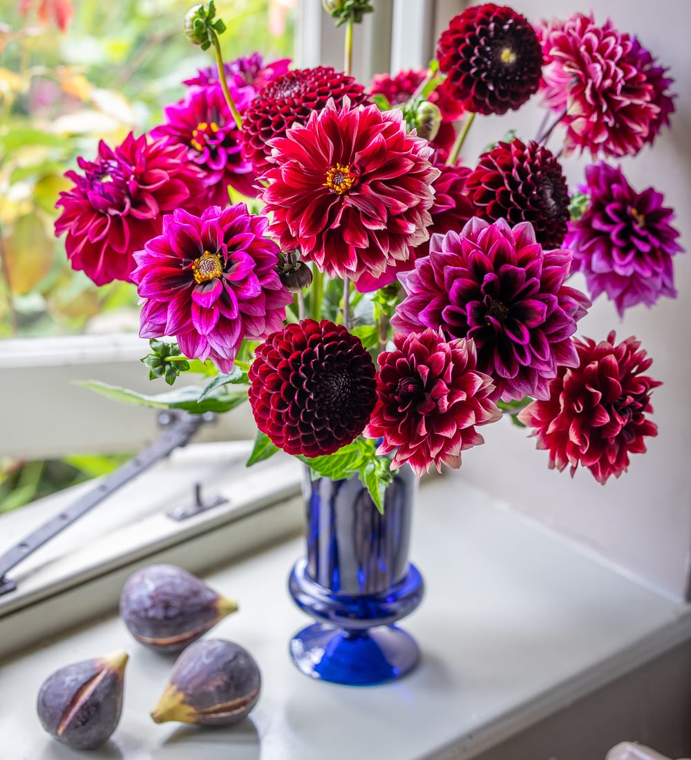 Favourite Cobalt Blue Vase