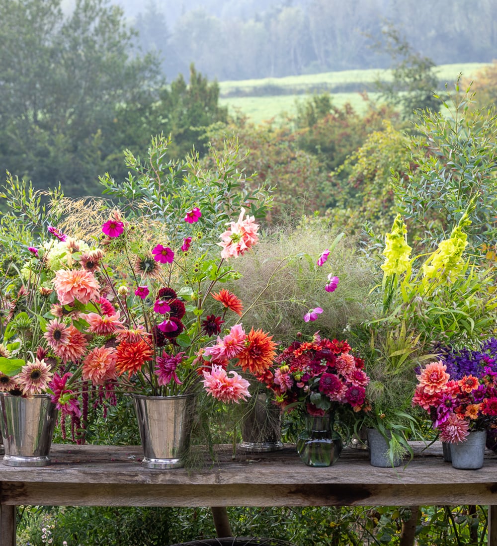 Grow and Arrange Your Own Cut Flowers with Sarah Raven at Rutland Nursery, Oakham