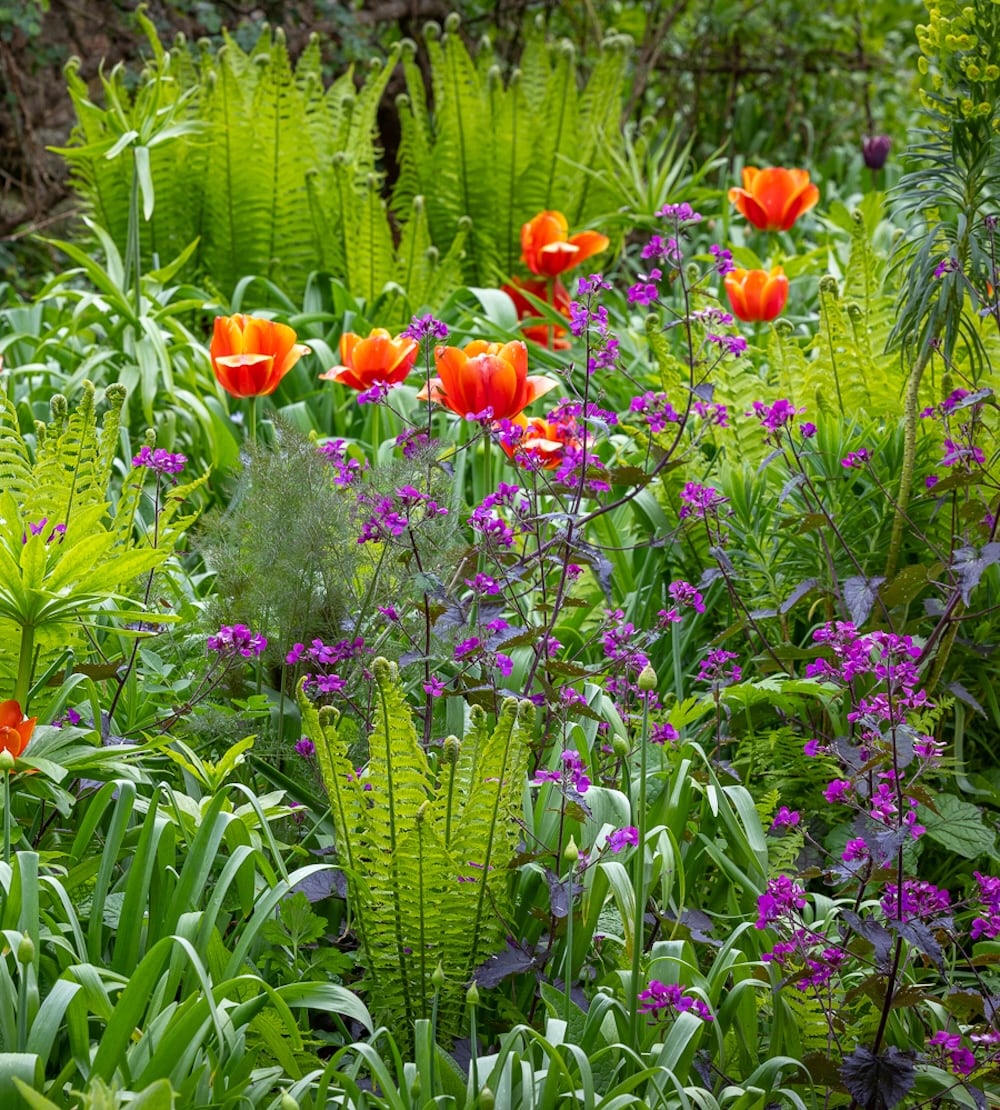 Jewel Shade Border Collection