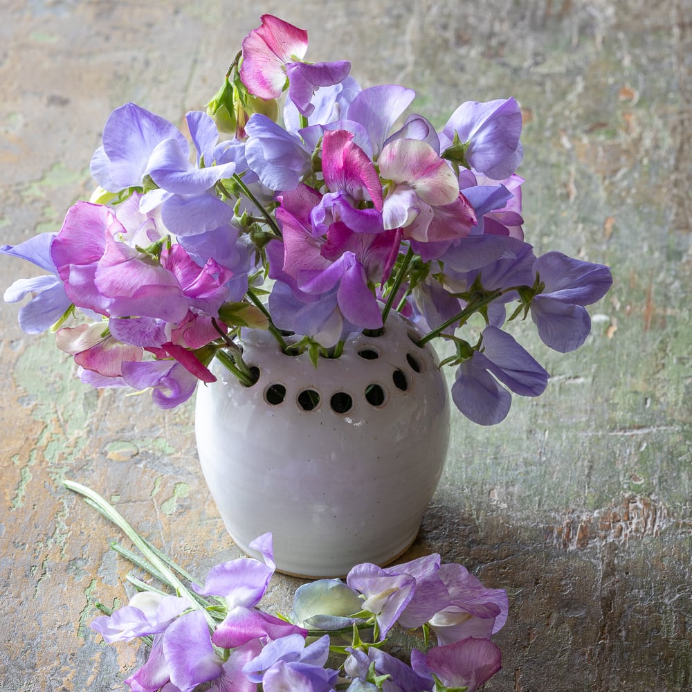 Sarah Raven Ceramic Flower Frog