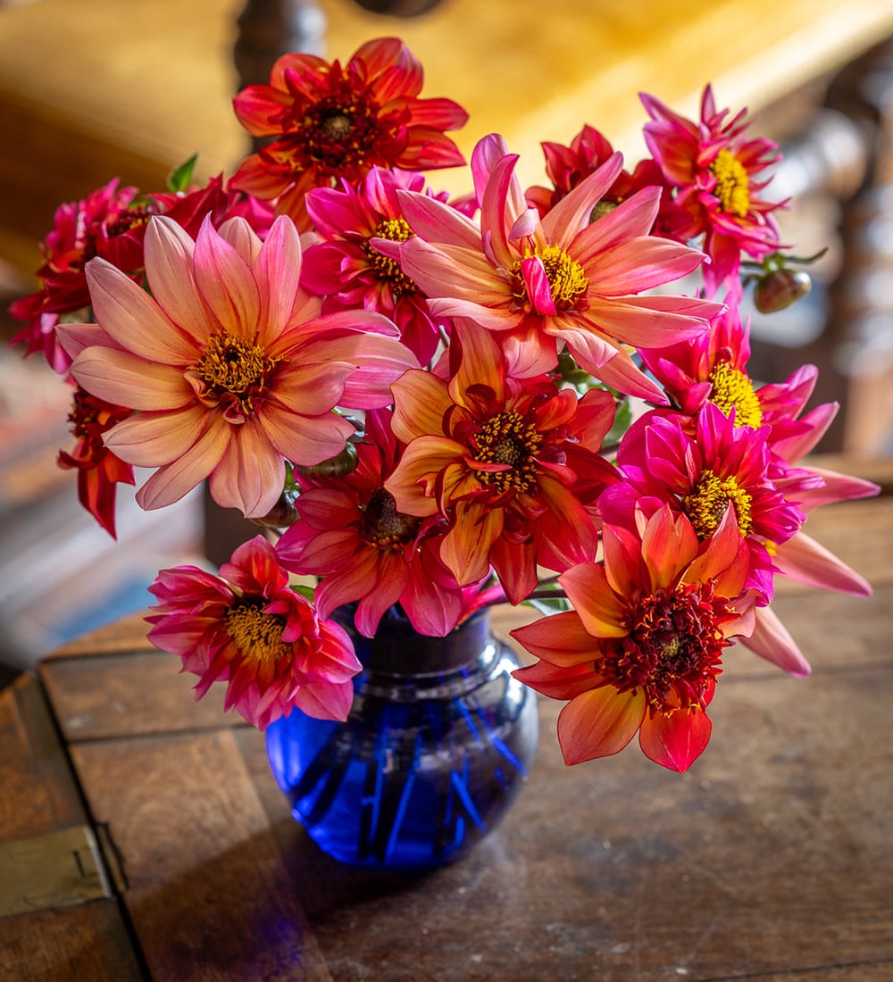 Vita Vase
