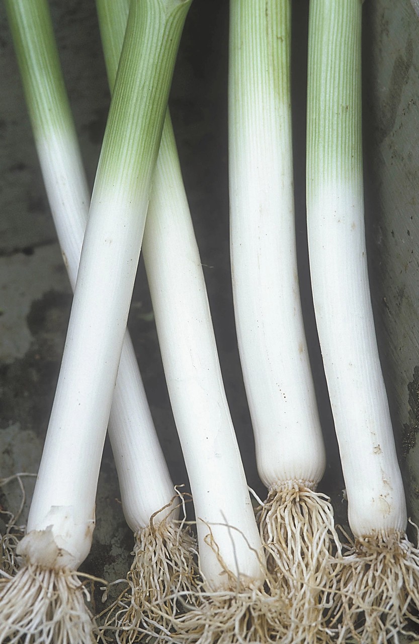 Leeks