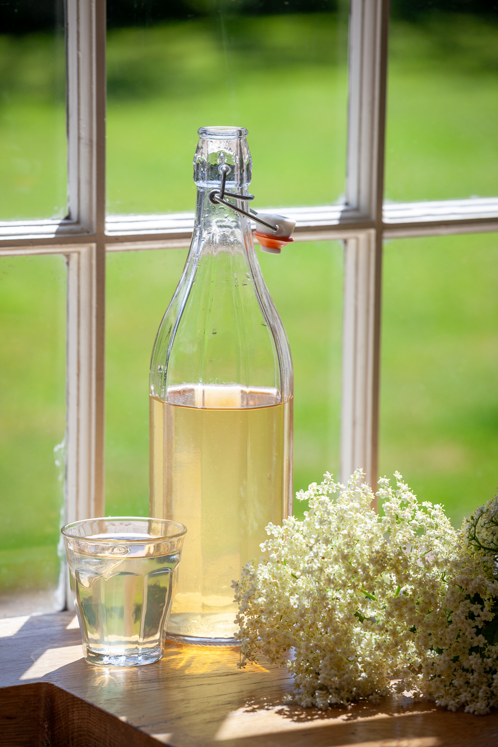 Elderflower cordial in a jug