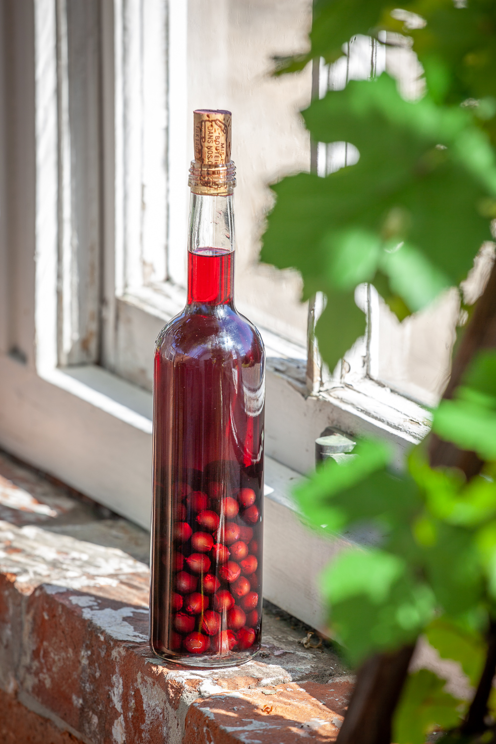 sloe gin (or damson vodka)