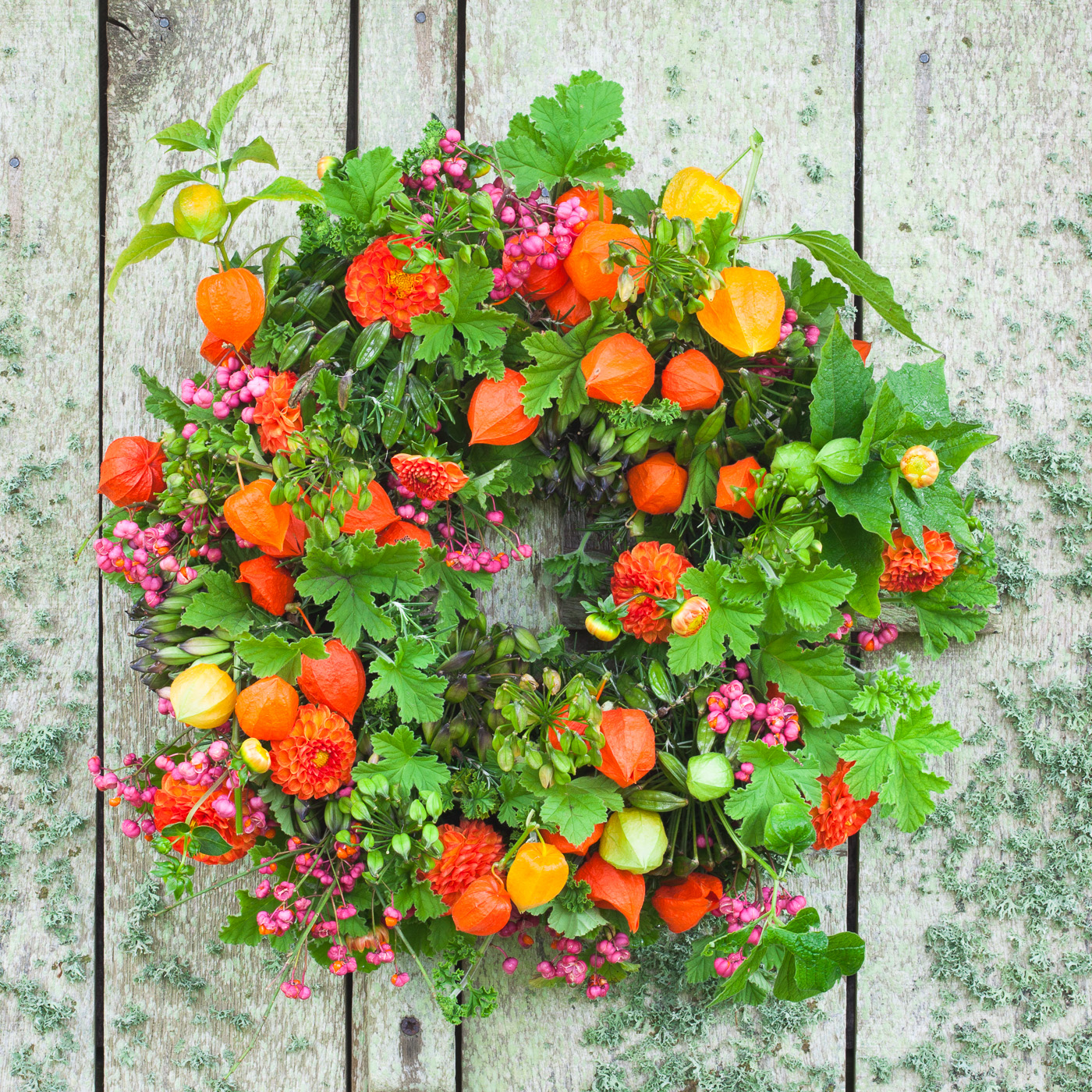 An example of a homemade Christmas wreath