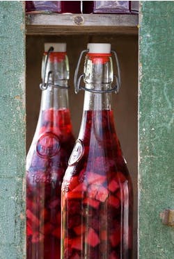 Blackberry apple gin bottles