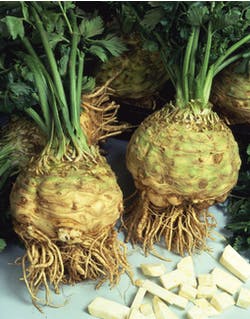 Celeriac soup