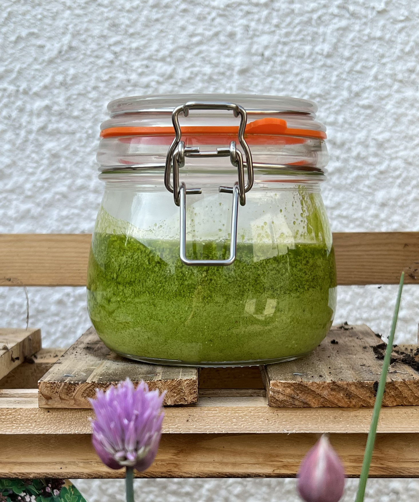 Wild garlic pesto