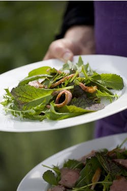 duck peppery leaf salad