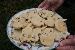 Easter biscuits