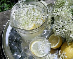 Elderflower cordial in a jug