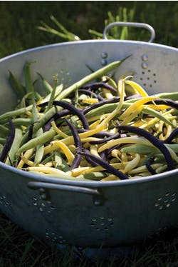 Lemon bean salad