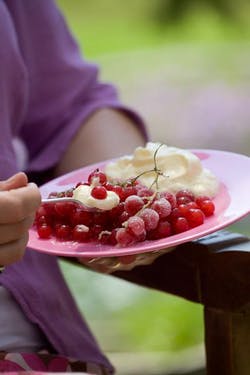 Frosted redcurrants with Chantilly cream