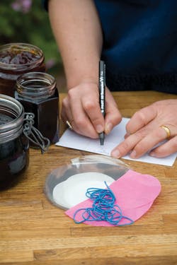 Jam making kit