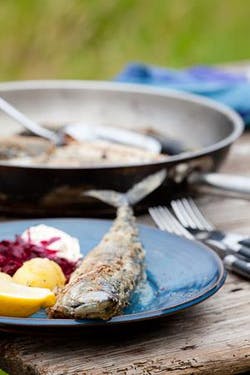 Mackerel in fennel-seed oatmeal crust