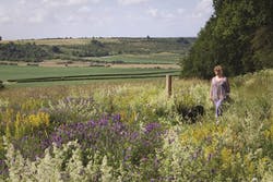 Sarah walking in wild flower meadow