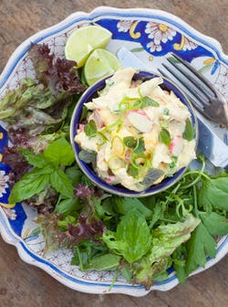 smoked chicken, mango and spring herb salad